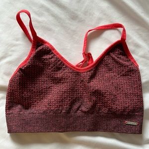 Echt Apparel Sports Bra